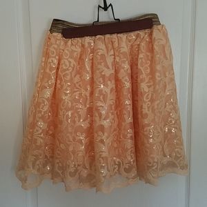 Sequin Skirt